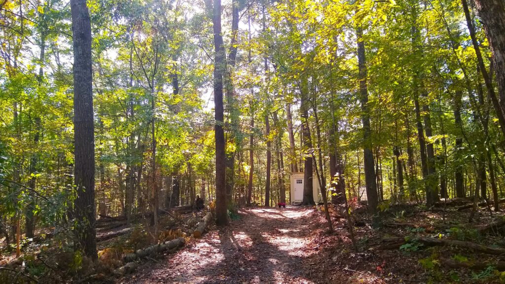 Tiny House Container in the woods